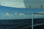 resIMG_20140617_144242_2420.JPG